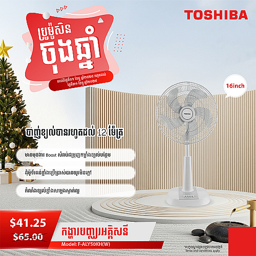 Toshiba Electric Fan 16 inch